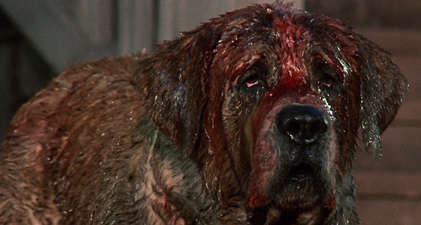 Cujo (1983)